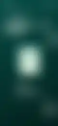 Thumbnail 24