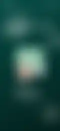 Thumbnail 27
