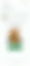 Thumbnail 30