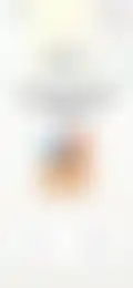 Thumbnail 29