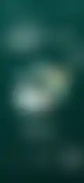 Thumbnail 29