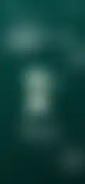Thumbnail 25