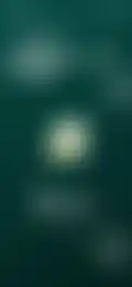 Thumbnail 28